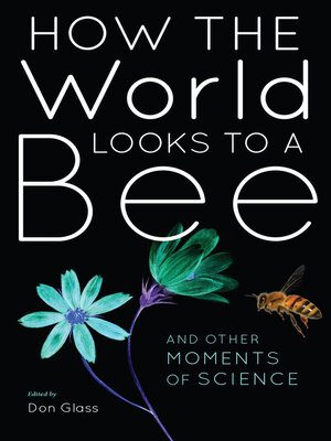 cover image of How the World Looks to a Bee